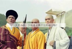 天龙八部：少林寺比赛什么时候上映？